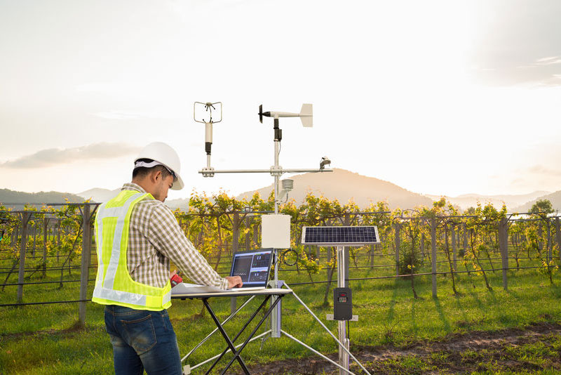 man with computer weather station on vineyard farm