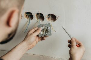karolina grabowska XtXYBabMmAo unsplash